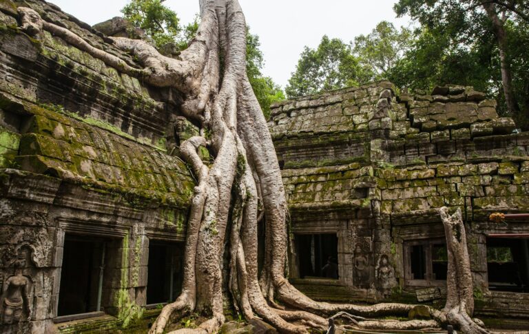Unnamed Road, Krong Siem Reap, Cambodia